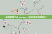 改革浪潮下的A-League，探索未来发展的新路径