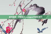 星光熠熠，外援在A-League中的影响力