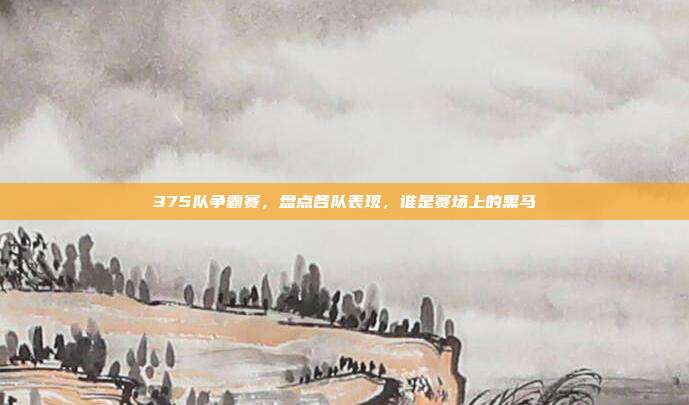 375队争霸赛，盘点各队表现，谁是赛场上的黑马