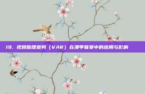 19. 视频助理裁判（VAR）在澳甲联赛中的应用与影响 🔍