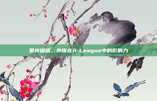 星光熠熠，外援在A-League中的影响力