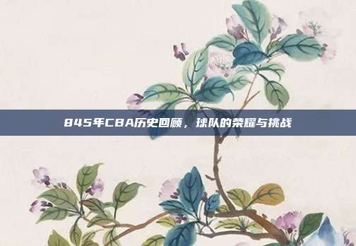 845年CBA历史回顾，球队的荣耀与挑战