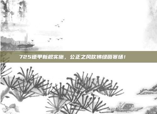 725德甲新规实施，公正之风吹拂绿茵赛场！📜