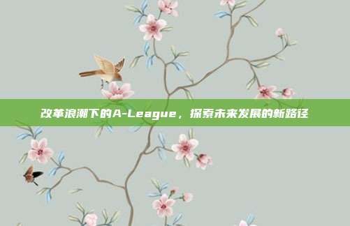 改革浪潮下的A-League，探索未来发展的新路径