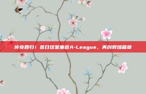 传奇回归！昔日球星重返A-League，再创辉煌篇章